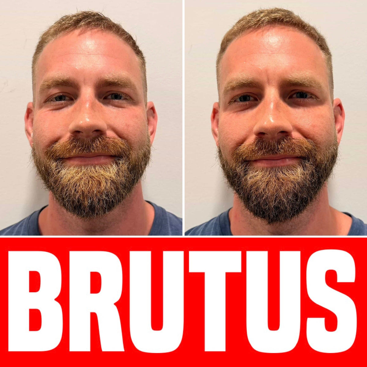 Light Brown Hair + Beard Color Kit - 4 Pack